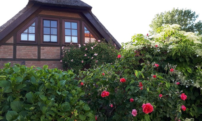Bodstedt Apartment | Vacation apartment/apartment for 2 guests with 36m² in Fuhlendorf (173944)