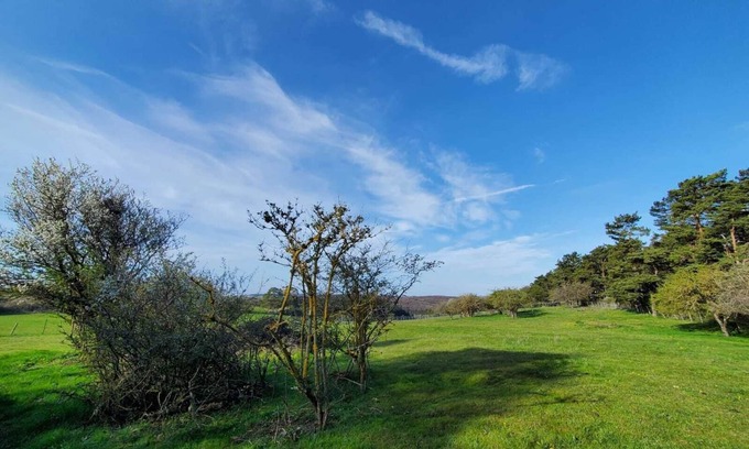 Nettersheim Apartment | Vacation apartment "Ziegenvilla"! Vacation on a farm in the Eifel