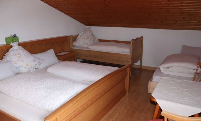 Annaberg-Lungoetz Apartment | Vacation apartment Lammertal - Payrhof - Family vacation on an organic mountain farm