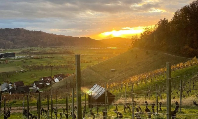 Ohlsbach Apartment | Vacation apartment Winzerstube