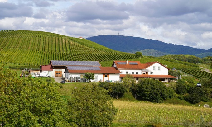 Mauchen Apartment | Vacation at the winery