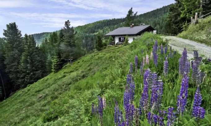 Albeck House | Vacation home Lotte by Interhome