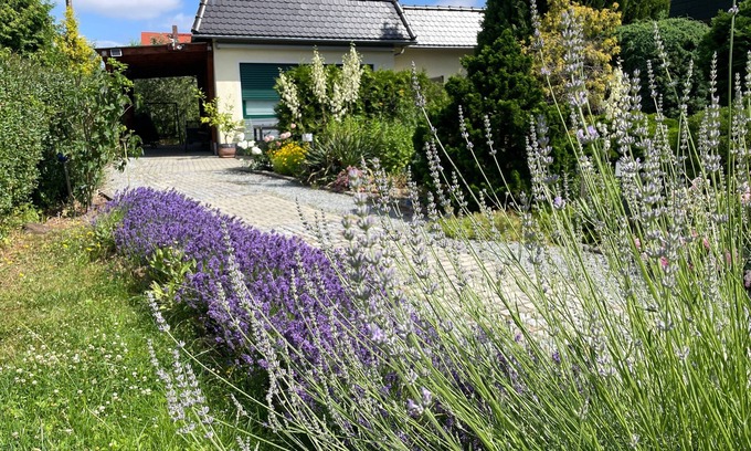 Bautzen House | Vacation home for 4 guests with 75m² in Bautzen (167901)