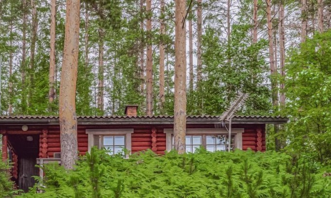 Outokumpu House | Vacation home Pihamökki, cjoe145 in Outokumpu - 5 persons, 1 bedrooms