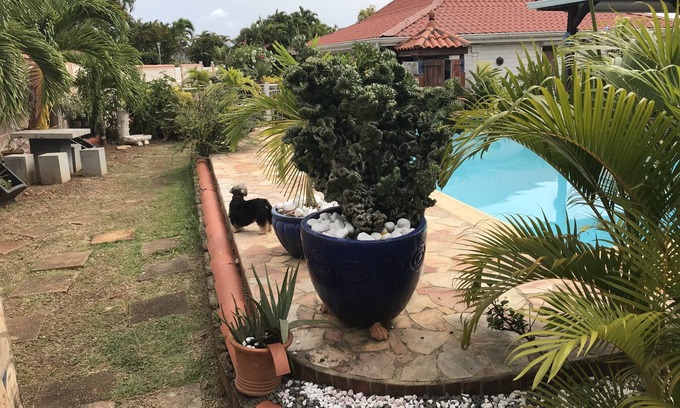 Ducos House | vacation rentals low villa