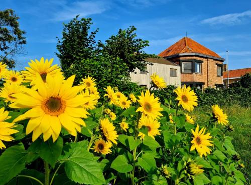 Leisele House | Vakantiehuis Louiselotte