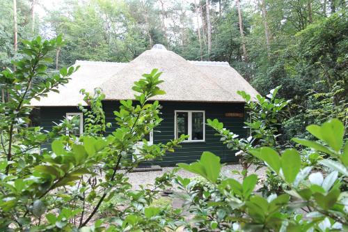 Epe House | Vakantiehuis 't Musje