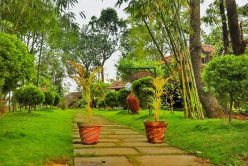 Thirunelly Bed & Breakfast | Vattakkuny Wild Orchid Resorts