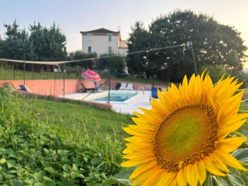 Montalto delle Marche Apartment | Verdeazzurro di CASADOLCIMARCHE