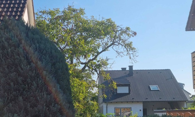 Mannheim Condo | Very nice 3 room apartment with large terrace in Mannheim near Heidelberg