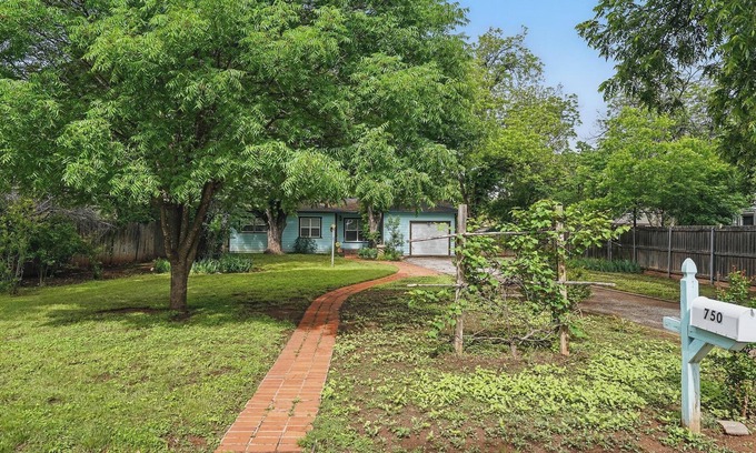 Elmwood Area House | Vibrant Artistic Retreat Among the Trees