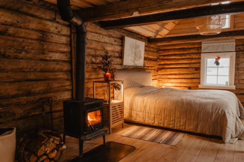 Panevezys county Ski Chalet | Vienkiemio Oazė - Pasakų namelis