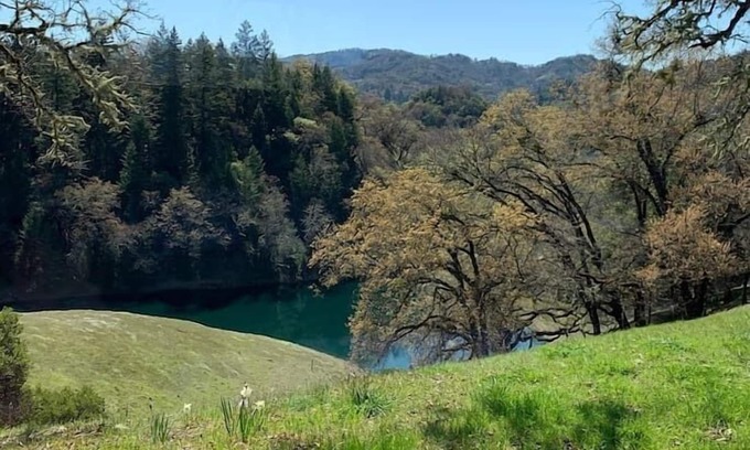 Ukiah Cottage | VIEWS! Last Minute/Longer Stay SPECIALS!