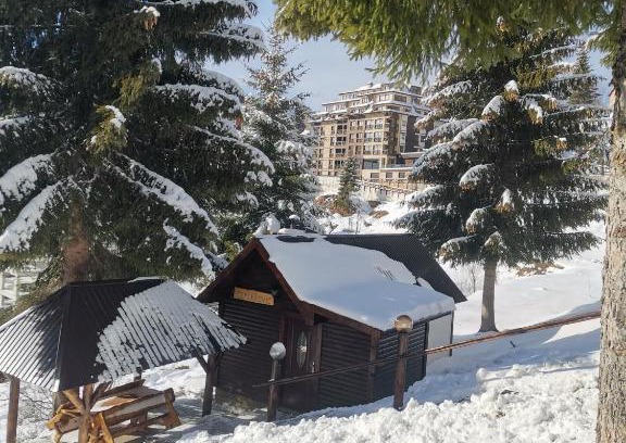 Kopaonik Ski Chalet | Vikendica Čeperković #2