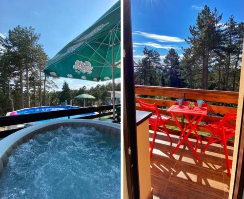 Kremna Apartment | Vila Mirjana Tara