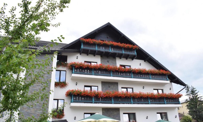 Vatra Dornei Hotel | Vila Seva