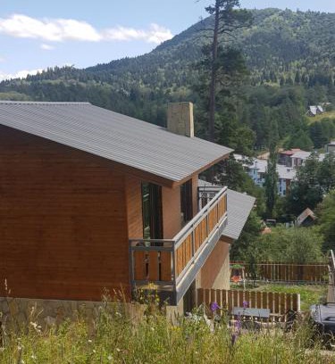 Bakuriani Villa | Villa A Barleon Bakuriani