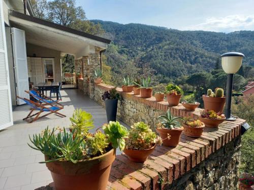 Ca Miro Apartment | Villa ai Sugheri