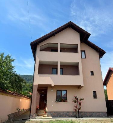 Calimanesti House | Villa Alexandra