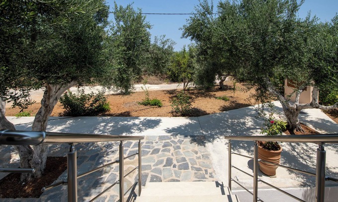 Pagkalochori Villa | Villa Amalthea, a functional and elegant house among the olive trees