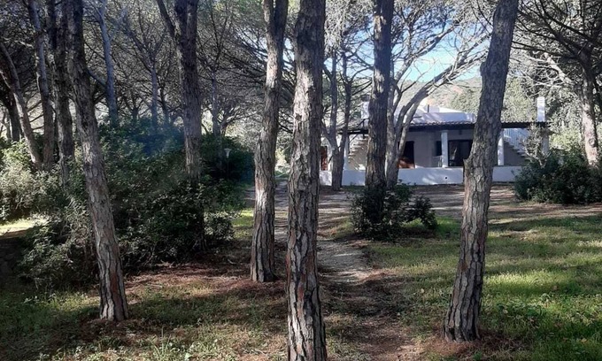 Matta 'e Peru Apartment | VILLA Among the Pines - Near the Sea, Matta and Peru, Budoni - Sassari