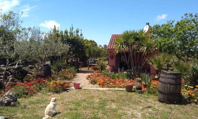 Flussio House | Villa Anna