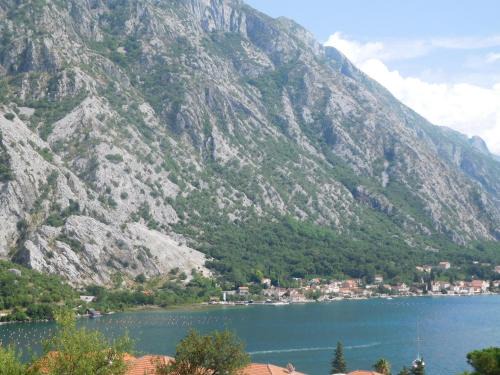 Orahovac House | Villa Aronija