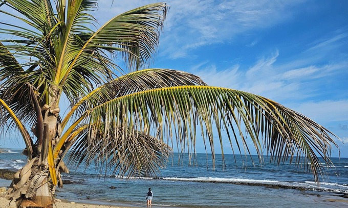 Hatillo Villa | Villa Carmen: Large Beachfront Retreat with Park Access – Sleeps 14