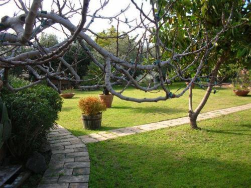 Chianchitta-Trappitello Bed & Breakfast | Villa Chiarenza Maison d'Hotes