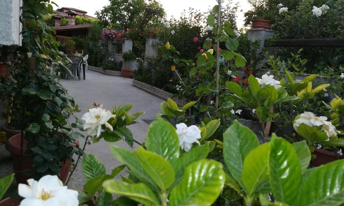 Bova Marina Bed & Breakfast | Villa delle rose