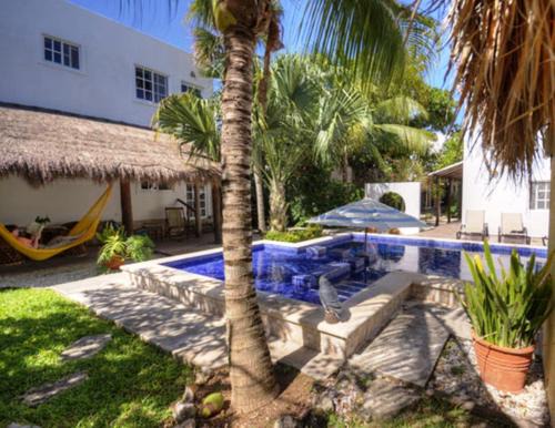 Colonia Centro Bed & Breakfast | Villa Escondida Guest House Cozumel Downtown