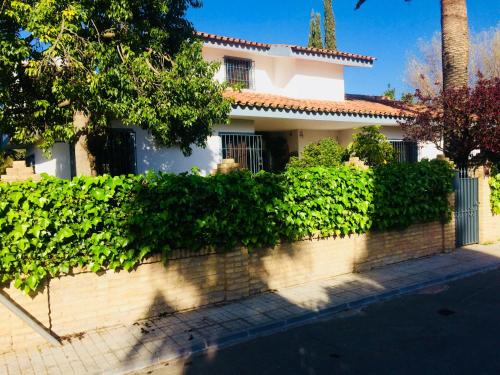 Espartinas House | Villa Ferrer Sevilla
