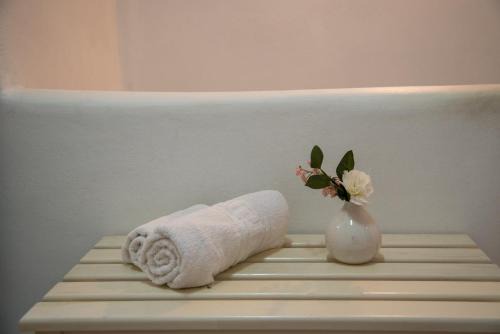 Agios Romanos Villa | Villa Foivos