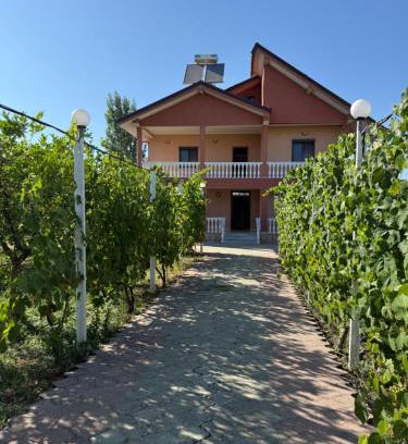 Kamez Villa | Villa Gega