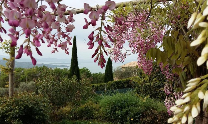 Passignano sul Trasimeno Apartment | Villa La Moraiola