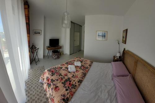 Saint-Alban House | villa les lavandes