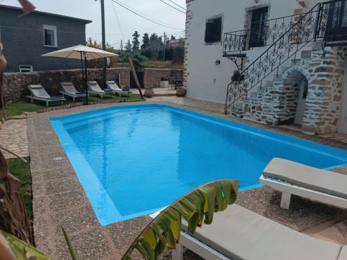 Pyrgos Psilonerou Villa | Villa Lina private pool