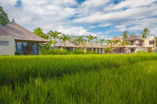 Lodtunduh Villa | Villa Lumia Bali
