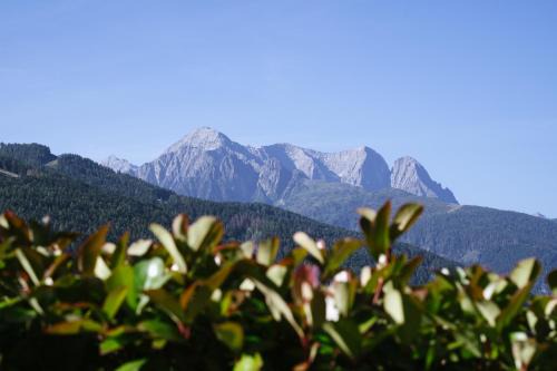 Ponte di Legno Hotel | Villa Luzzago