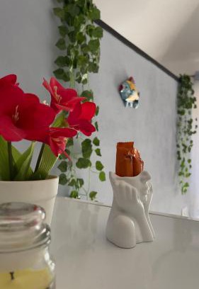 Contrada Fiori Sud Apartment | Villa Manù 1