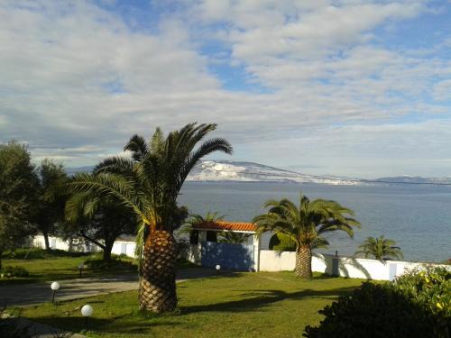 Xirolivado Villa | Villa Maria in front of the sea