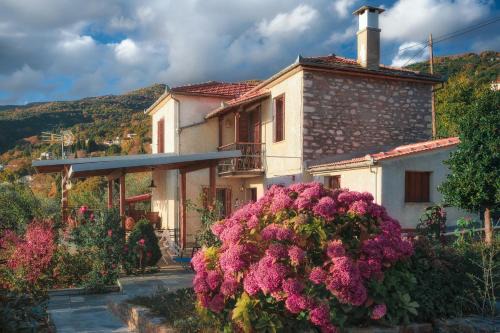 Milies Villa | Villa Marina, Βίλλα Μαρίνα
