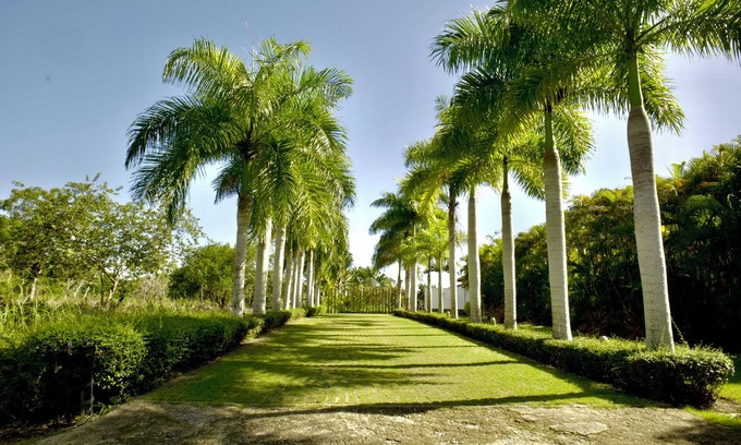 Guayacanes Villa | Villa MB