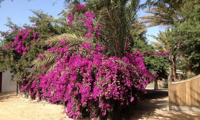 Mindelo House | Villa Morabeza Guest House