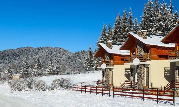 Bakuriani Villa | Villa Mtashi