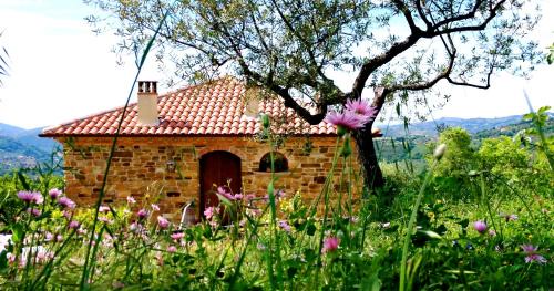 Laureana Cilento House | Villa Nigro