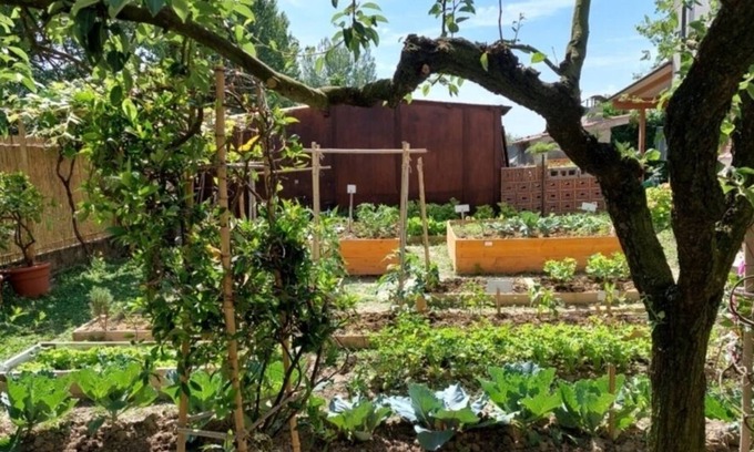 San Giuliano Terme Bed & Breakfast | Villa Oasi