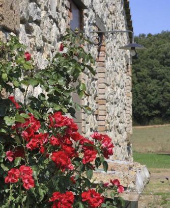 Orte Villa | Villa Orte