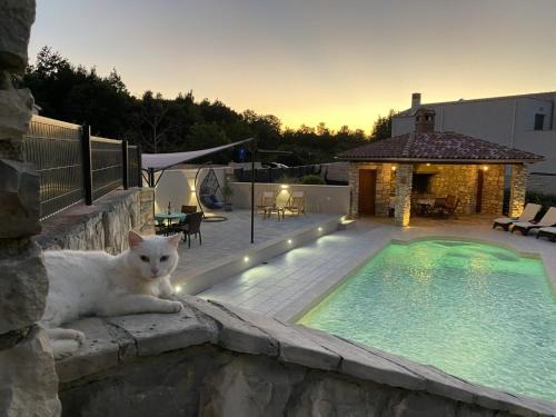 Boljevici Villa | Villa Rose