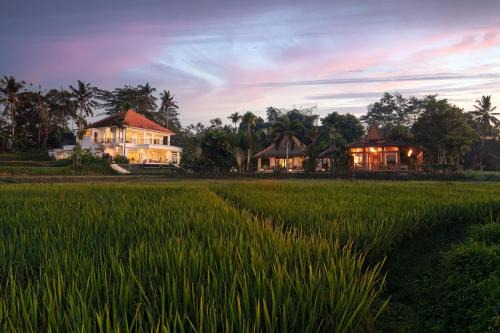 Kenderan Villa | Villa Tau